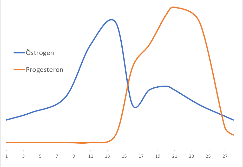 Östrogen & Progesteron im Zyklusverlauf